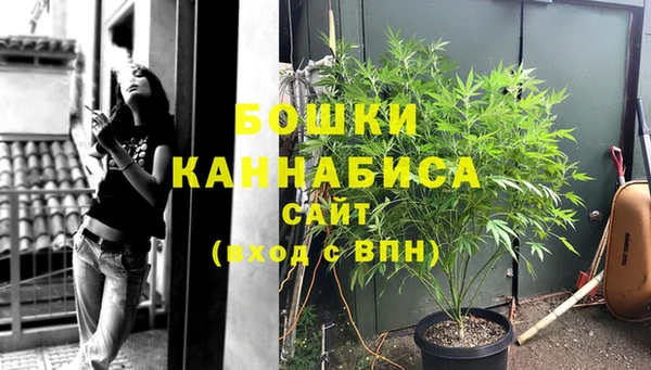 ECSTASY Коряжма