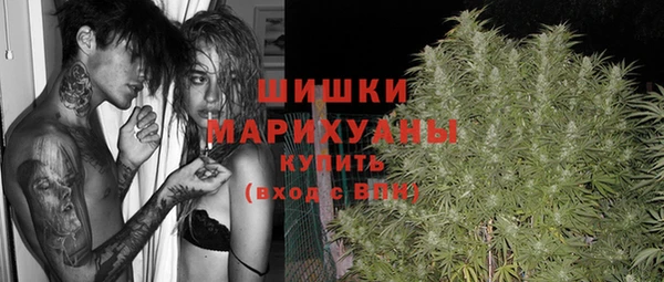 ECSTASY Коряжма