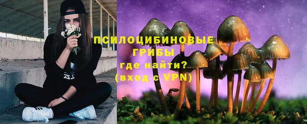 а пвп мука Костерёво