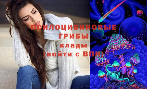 PSILOCYBIN Ижевск